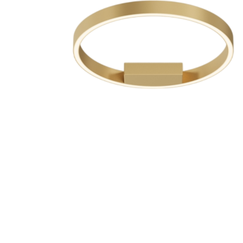 Потолочный светильник MAYTONI RIM MOD058CL-L25BSK